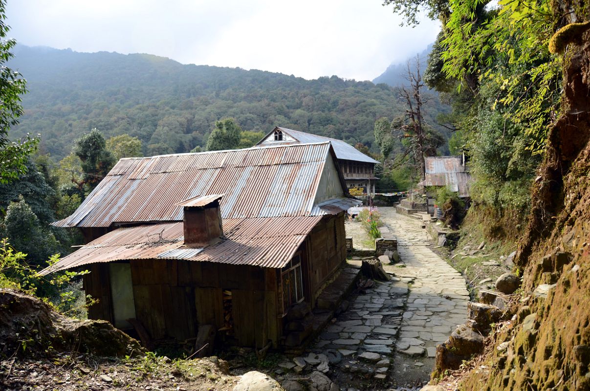 Nayapul To Ghorepani 24 Walking Through Nangathanti 